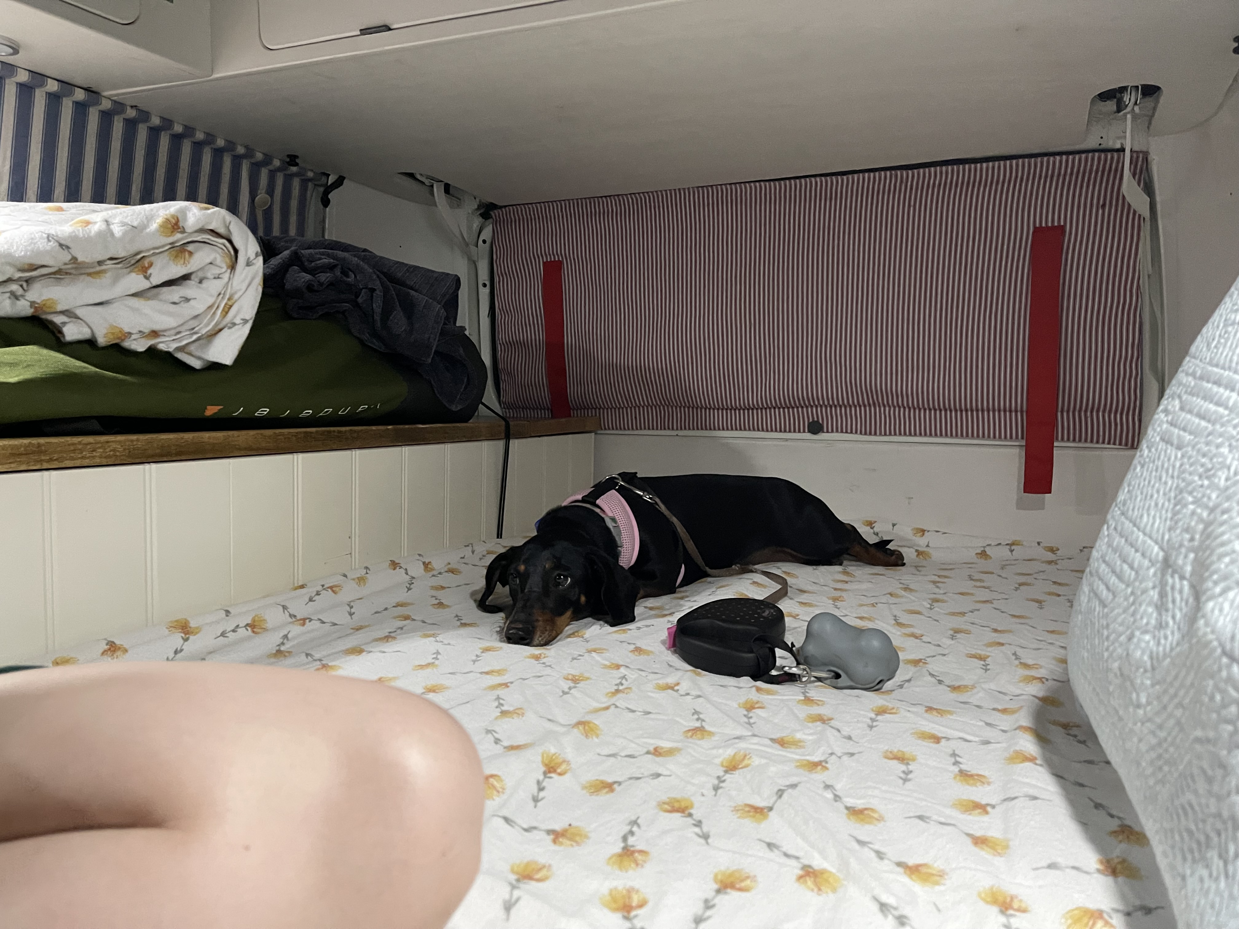 Why I am rebuilding a '74 VW Kombi